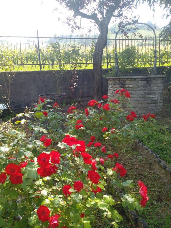 Casa Badinot Guest House Diano dʼAlba Cameră foto